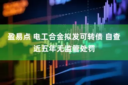 盈易点 电工合金拟发可转债 自查近五年无监管处罚