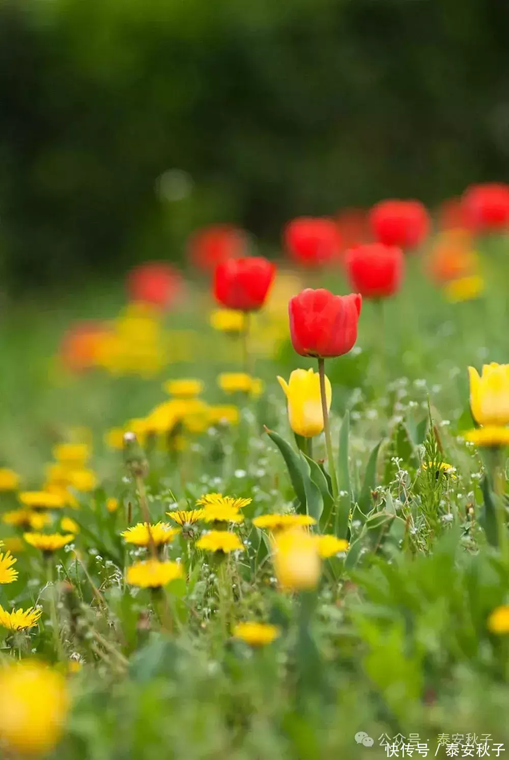 爱配配资 深秋之后，“皮衣+阔腿裤”又火了！显腿长又显高级，你穿了吗？