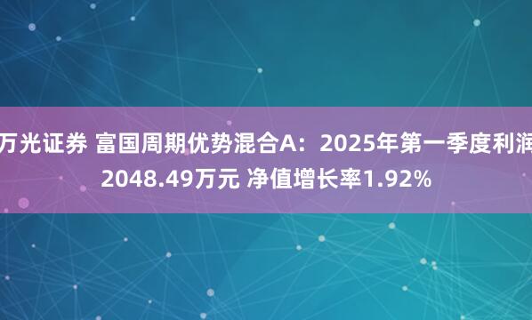 万光证券 富国周期优势混合A：2025年第一季度利润2048.49万元 净值增长率1.92%