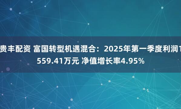 贵丰配资 富国转型机遇混合：2025年第一季度利润1559.41万元 净值增长率4.95%